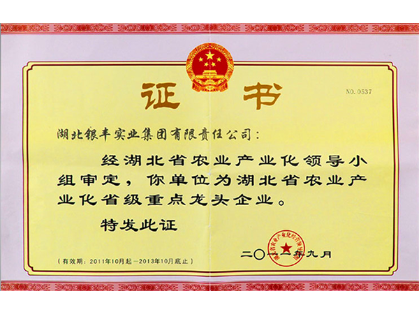 2011年 銀豐集團榮獲湖北省農業產業化省級重點龍頭企業