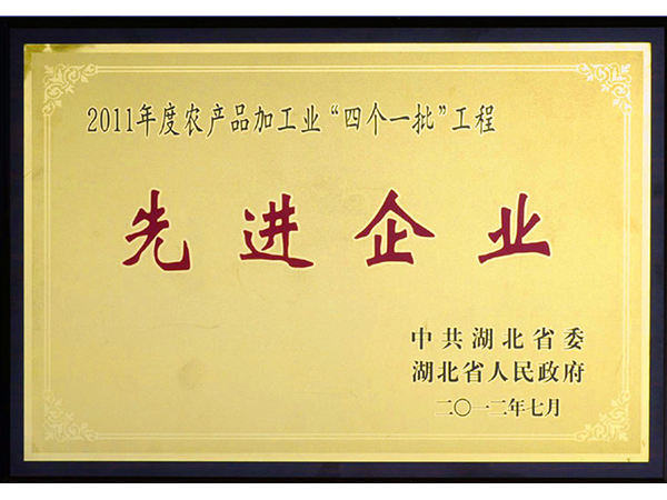 2012年 銀豐集團榮獲湖北省2011年度農產品加工業“四個一批”工程先進企業